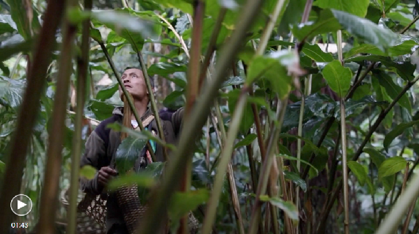 QQ截圖20211125161141 QQ截圖20211125161141