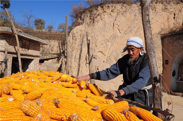 1310341187_16381971257591n