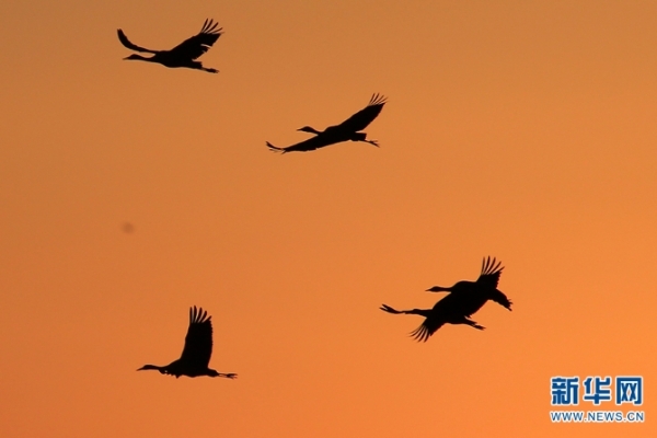 924229_670x670 924229_670x670