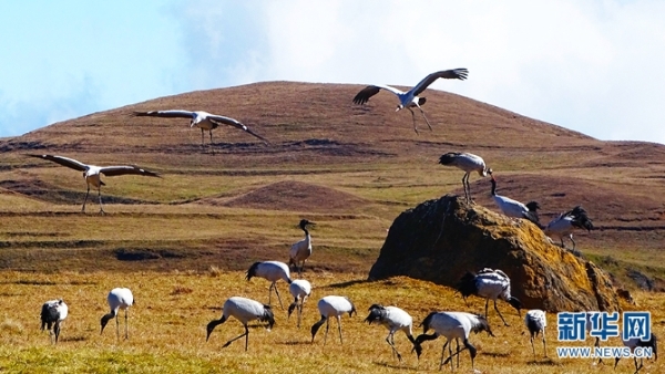 924230_670x670 924230_670x670