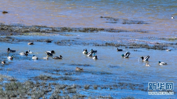 924231_670x670 924231_670x670