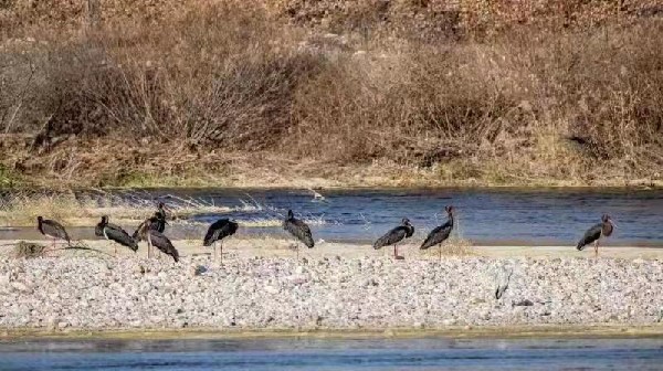 61a89079a310cdd3d81e4d45