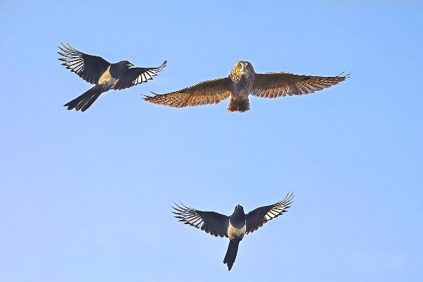 61a89079a310cdd3d81e4d47