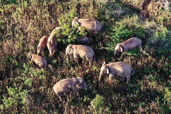 61a59a31a310cdd3d81dc8fd 61a59a31a310cdd3d81dc8fd