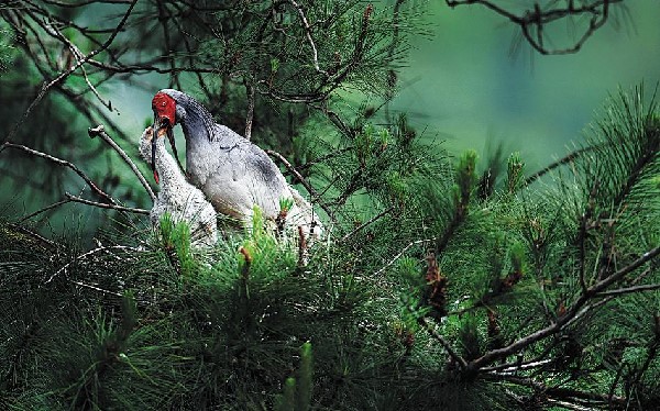 61a59a31a310cdd3d81dc902 61a59a31a310cdd3d81dc902