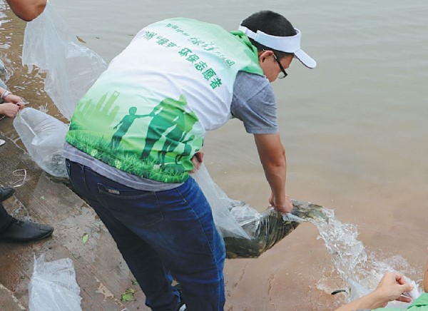 61a42536a310cdd3d81d4e00