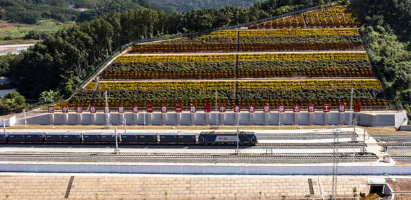 61ad67a2a310cdd3d81ee8c6