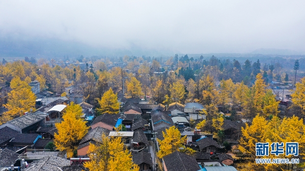 1310366384_16392731331071n