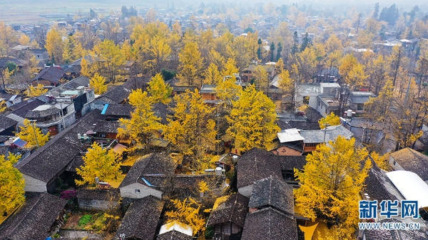 1310366384_16392731332181n