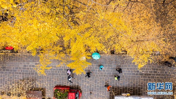 1310366384_16392731333421n