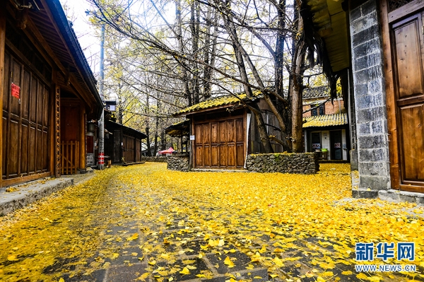 1310366384_16392731338081n