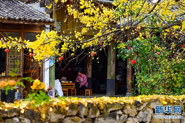 1310366384_16392731339451n