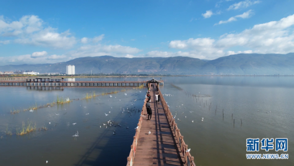 929522_670x670 929522_670x670