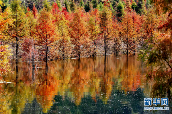 929527_670x670 929527_670x670