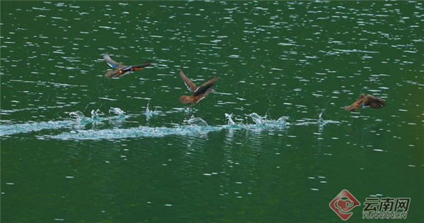 00304346781_123c3e3a