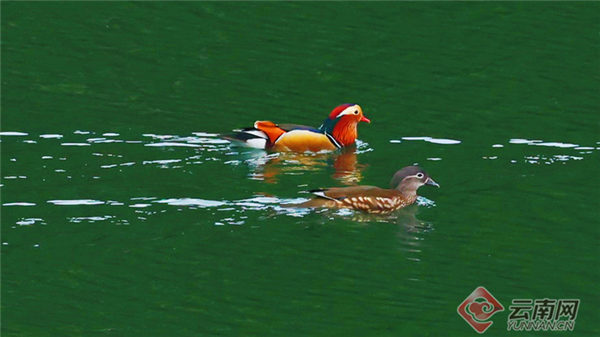 00304346782_74f7a465