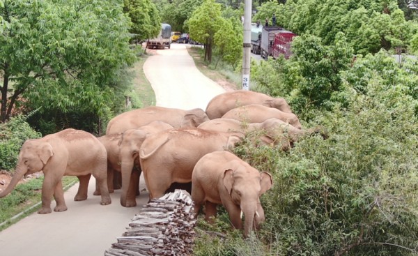 微信截圖_20211222103322