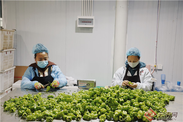 935710_670x670 935710_670x670