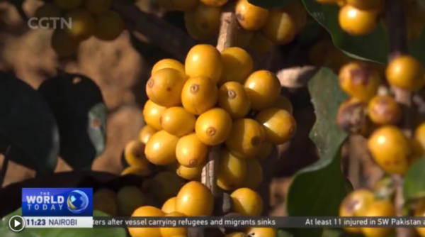 微信圖片_20211227155111