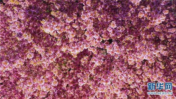 1310419488_16419068994121n 1310419488_16419068994121n