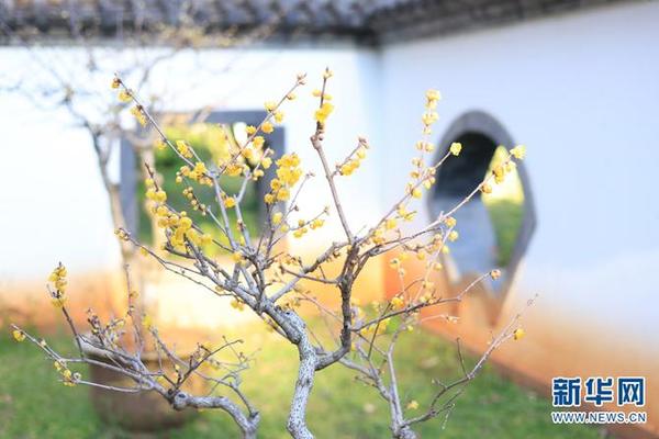 1310419488_16419068994331n 1310419488_16419068994331n