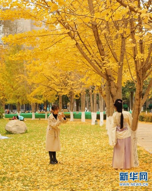 1310419488_16419068994381n 1310419488_16419068994381n