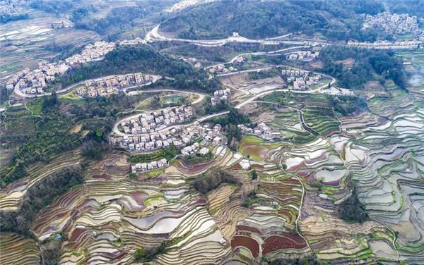 20220121061b5d5ad4a94f6581076c0923b606ff_4218aa9e-06d0-4c60-a422-93b38200ece7 20220121061b5d5ad4a94f6581076c0923b606ff_4218aa9e-06d0-4c60-a422-93b38200ece7