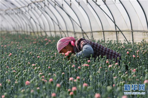 1310475125_16451934181981n