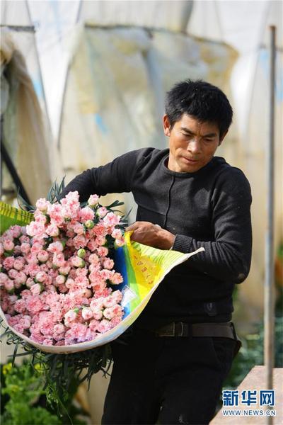 1310475125_16451934183271n