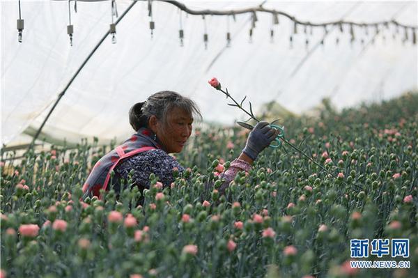 1310475125_16451934184491n