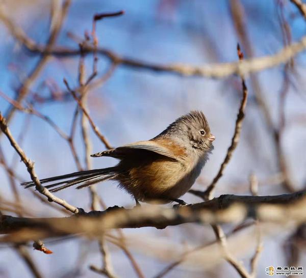 5906b28f-59e6-4259-b8ce-54a8159632d5_batchwm 5906b28f-59e6-4259-b8ce-54a8159632d5_batchwm