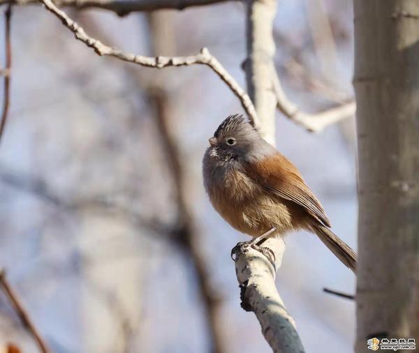 c66c2612-e0aa-4acd-9769-f55908aafc59_batchwm c66c2612-e0aa-4acd-9769-f55908aafc59_batchwm