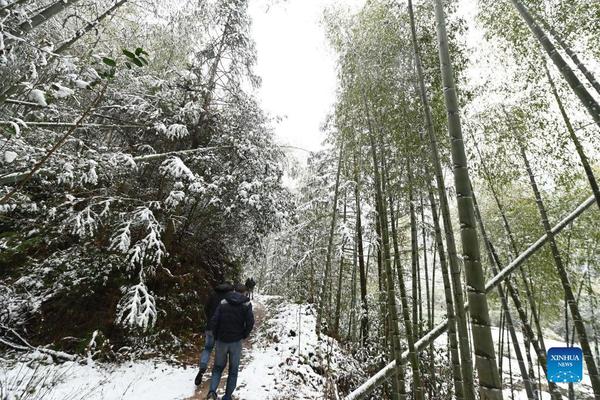 snow02.jpg snow02.jpg