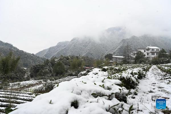 snow07.jpg snow07.jpg