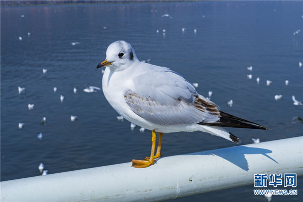 1310486805_16457453284941n