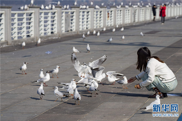 1310486805_16457453287011n