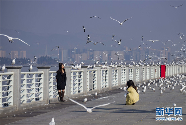 1310486805_16457453287551n