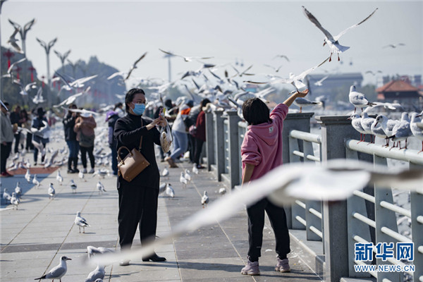 1310486805_16457453289661n