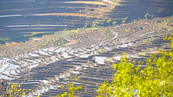 梯田春耕忙 風(fēng)景美如畫。綠春縣融媒體中心供圖(76).jpg_x-oss-process_style_w10