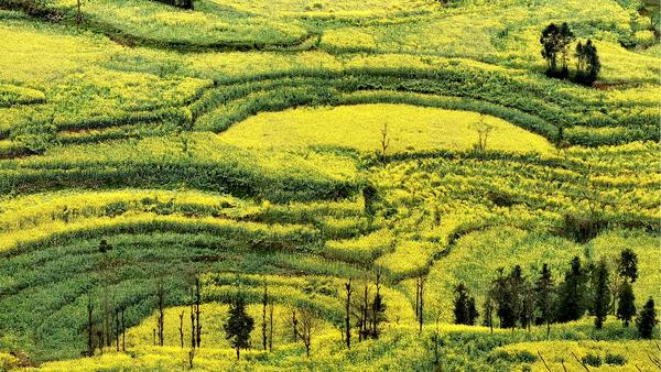 4b3c737d8ee54349a8f01760dadcea25