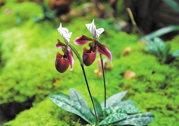 995171_670x670 995171_670x670