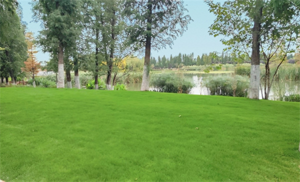 QQ圖片20220304170254