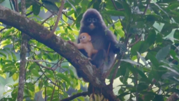 微信圖片_20220304180652