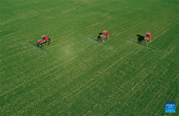 aerial06.jpg aerial06.jpg