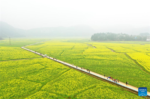 aerial01.jpg aerial01.jpg