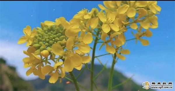 998881_670x670 998881_670x670