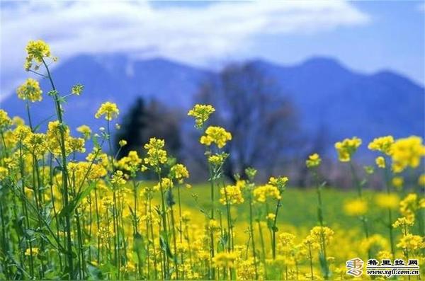 998880_670x670 998880_670x670