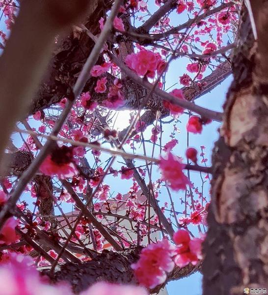 998888_670x670 998888_670x670