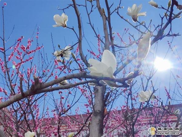 998886_670x670 998886_670x670