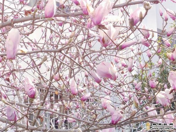 998885_670x670 998885_670x670